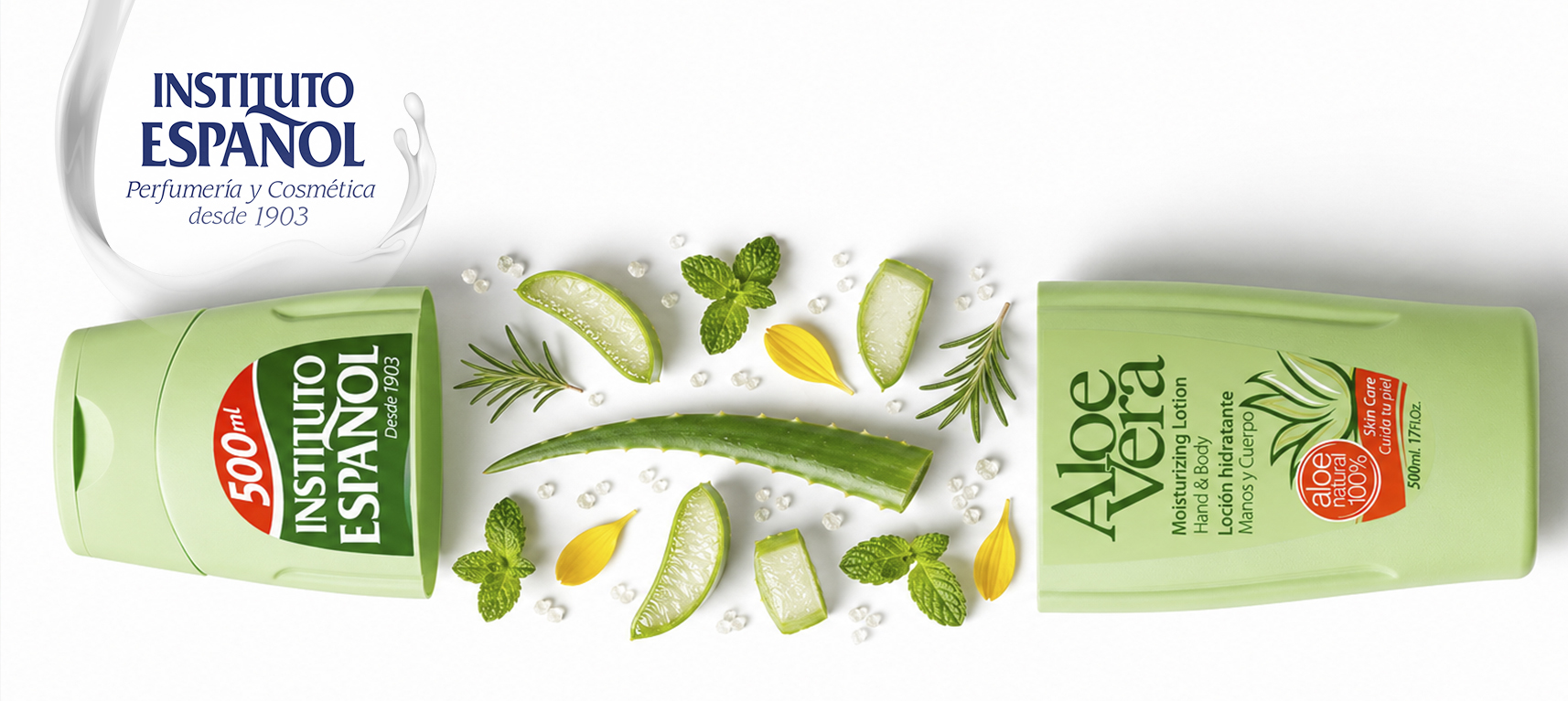 _base_blog copia (11) aloe vera